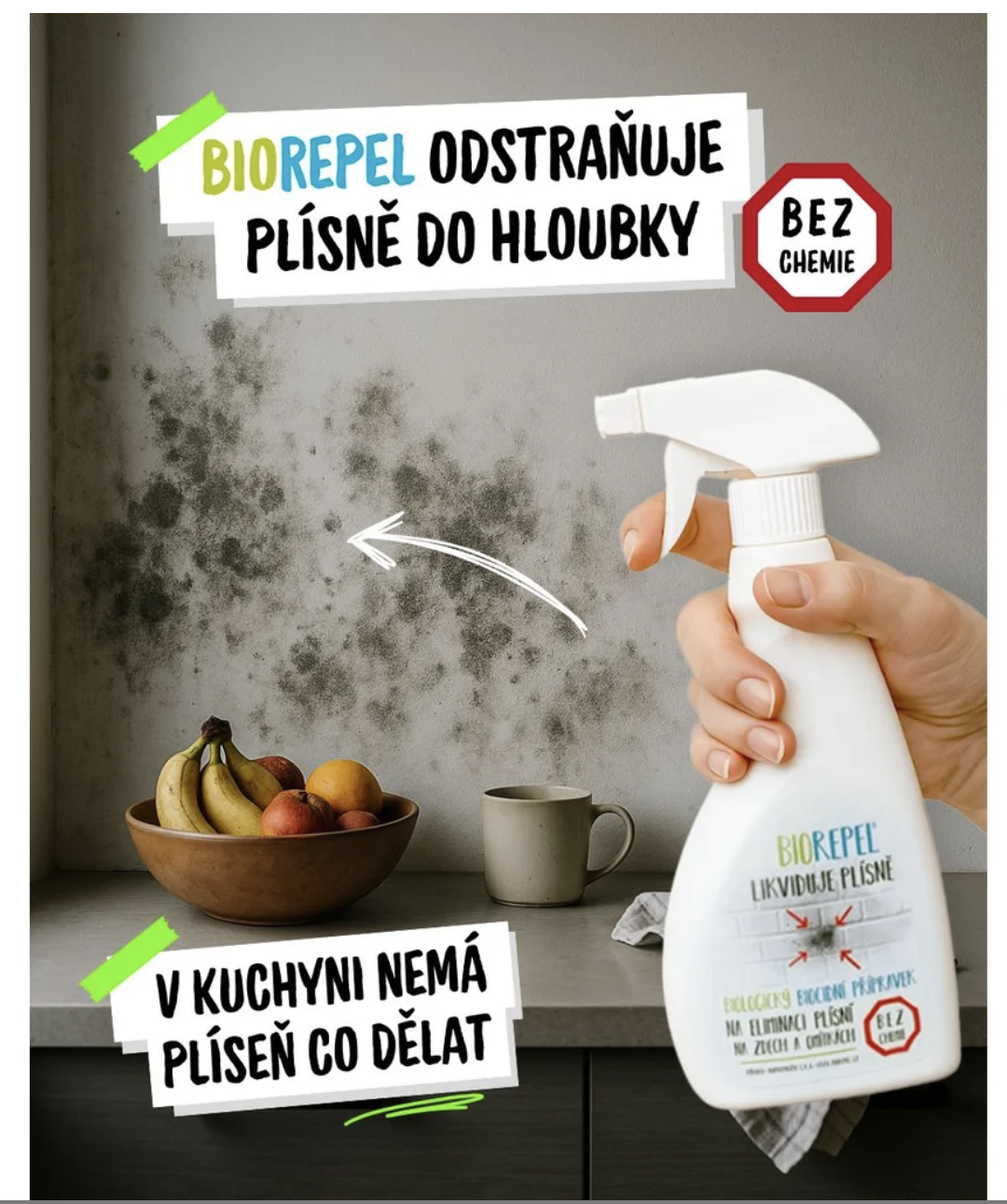BIOREPEL chytrá houba proti plísním na zdivo a omítky 1+2 g6